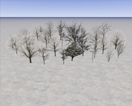 270px-KRSTool_MyTrees_04Winterl.jpg