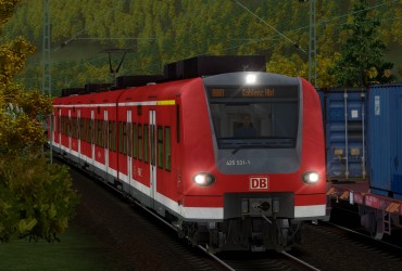 [TrainFW] RB81 (12239) nach Koblenz Hbf (2009)