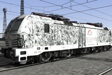 193 997 pferde repaint